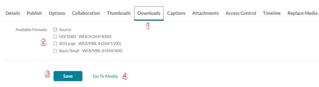 The downloads tab, different downloads, save option and go to media option selected